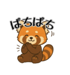 レッサーパンダ日常スタンプ第7弾（個別スタンプ：10）