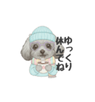 トイプードル(リアルタッチ、グレー)（個別スタンプ：23）