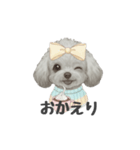 トイプードル(リアルタッチ、グレー)（個別スタンプ：24）