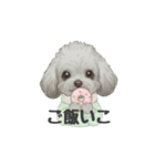 トイプードル(リアルタッチ、グレー)（個別スタンプ：27）