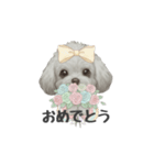 トイプードル(リアルタッチ、グレー)（個別スタンプ：31）