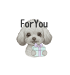 トイプードル(リアルタッチ、グレー)（個別スタンプ：32）