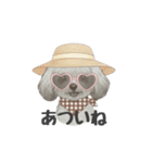 トイプードル(リアルタッチ、グレー)（個別スタンプ：33）