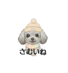 トイプードル(リアルタッチ、グレー)（個別スタンプ：35）