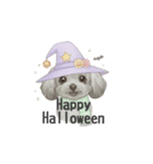 トイプードル(リアルタッチ、グレー)（個別スタンプ：36）