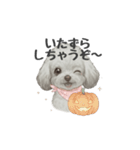 トイプードル(リアルタッチ、グレー)（個別スタンプ：37）