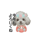 トイプードル(リアルタッチ、グレー)（個別スタンプ：40）