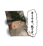 我が家のアニマルと夢愛スタンプ（個別スタンプ：6）