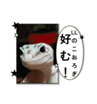 我が家のアニマルと夢愛スタンプ（個別スタンプ：23）