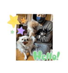 朧だワン！（個別スタンプ：3）