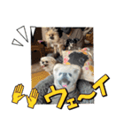 朧だワン！（個別スタンプ：15）