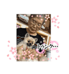 朧だワン！（個別スタンプ：33）