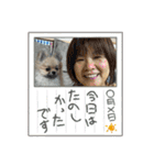 朧だワン！（個別スタンプ：34）