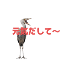ハシビロコウ J（個別スタンプ：14）