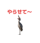 ハシビロコウ J（個別スタンプ：29）
