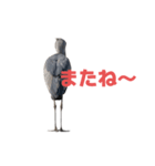 ハシビロコウ J（個別スタンプ：34）