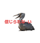 ハシビロコウ J（個別スタンプ：37）