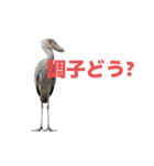ハシビロコウ J（個別スタンプ：39）