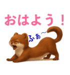よく使う言葉（オコジョ編）（個別スタンプ：18）