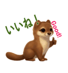 よく使う言葉（オコジョ編）（個別スタンプ：28）