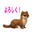 よく使う言葉（オコジョ編）（個別スタンプ：39）