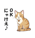 広島弁の猫にゃけん♪【方言・訛り・安芸】（個別スタンプ：3）