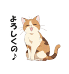 広島弁の猫にゃけん♪【方言・訛り・安芸】（個別スタンプ：7）