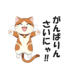 広島弁の猫にゃけん♪【方言・訛り・安芸】（個別スタンプ：12）