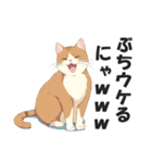 広島弁の猫にゃけん♪【方言・訛り・安芸】（個別スタンプ：13）