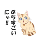 広島弁の猫にゃけん♪【方言・訛り・安芸】（個別スタンプ：14）
