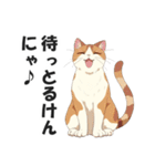 広島弁の猫にゃけん♪【方言・訛り・安芸】（個別スタンプ：16）