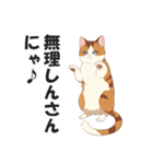 広島弁の猫にゃけん♪【方言・訛り・安芸】（個別スタンプ：18）