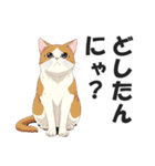 広島弁の猫にゃけん♪【方言・訛り・安芸】（個別スタンプ：19）