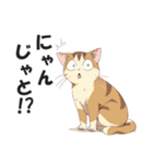 広島弁の猫にゃけん♪【方言・訛り・安芸】（個別スタンプ：23）