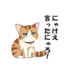 広島弁の猫にゃけん♪【方言・訛り・安芸】（個別スタンプ：25）