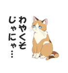 広島弁の猫にゃけん♪【方言・訛り・安芸】（個別スタンプ：27）