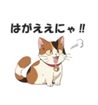広島弁の猫にゃけん♪【方言・訛り・安芸】（個別スタンプ：29）
