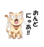 広島弁の猫にゃけん♪【方言・訛り・安芸】（個別スタンプ：31）