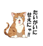 広島弁の猫にゃけん♪【方言・訛り・安芸】（個別スタンプ：33）
