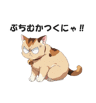 広島弁の猫にゃけん♪【方言・訛り・安芸】（個別スタンプ：34）