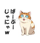 広島弁の猫にゃけん♪【方言・訛り・安芸】（個別スタンプ：35）