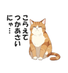 広島弁の猫にゃけん♪【方言・訛り・安芸】（個別スタンプ：36）