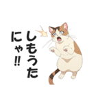 広島弁の猫にゃけん♪【方言・訛り・安芸】（個別スタンプ：37）