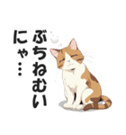 広島弁の猫にゃけん♪【方言・訛り・安芸】（個別スタンプ：39）