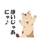 広島弁の猫にゃけん♪【方言・訛り・安芸】（個別スタンプ：40）