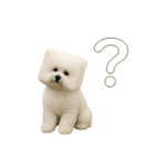 四角い頭のビションフリーゼ（個別スタンプ：1）