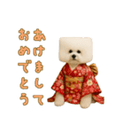 四角い頭のビションフリーゼ（個別スタンプ：23）
