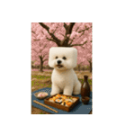 四角い頭のビションフリーゼ（個別スタンプ：29）