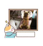 柴犬はるver9（個別スタンプ：17）