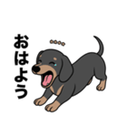 名前入りダックススムースブラックタン（個別スタンプ：2）